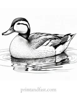 realistic duck coloring page printable