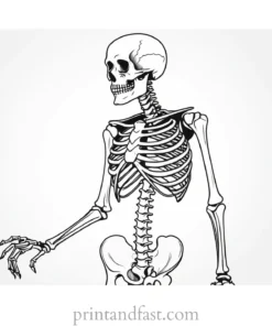 realistic skeleton coloring page