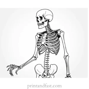 realistic skeleton coloring page