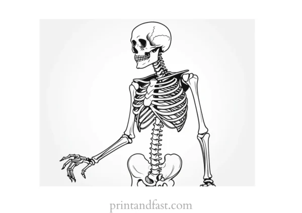 realistic skeleton coloring page