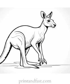 safari kangaroo coloring page