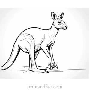 safari kangaroo coloring page