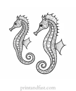 seahorse coloring page adult