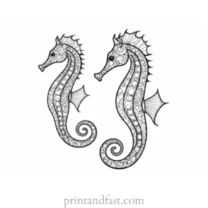 seahorse coloring page adult