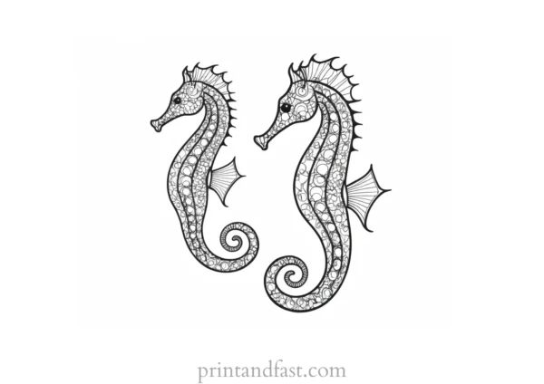 seahorse coloring page adult