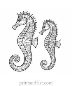 seahorse coloring page black and white