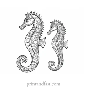 seahorse coloring page black and white