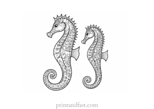 seahorse coloring page black and white