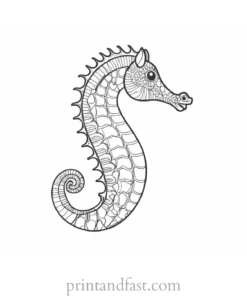 seahorse coloring page cartoon