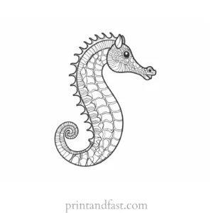 seahorse coloring page cartoon