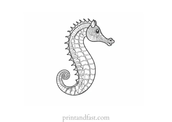 seahorse coloring page cartoon