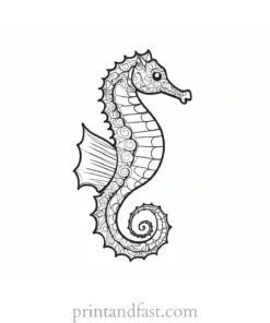 seahorse coloring page cute