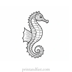 seahorse coloring page cute