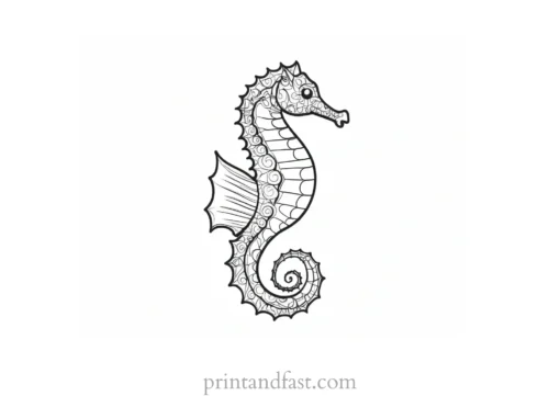 seahorse coloring page cute