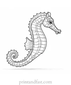 seahorse coloring page detailed