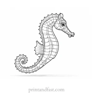 seahorse coloring page detailed