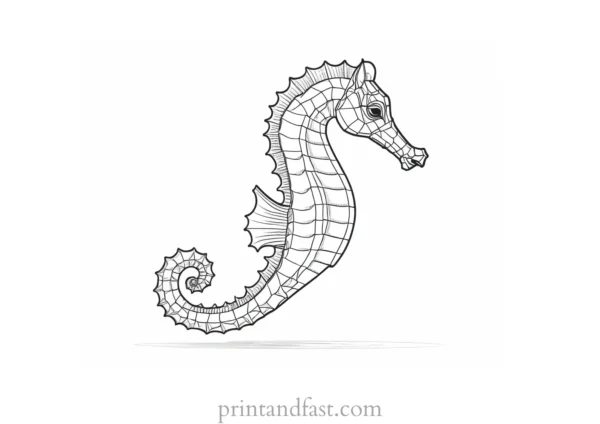 seahorse coloring page detailed