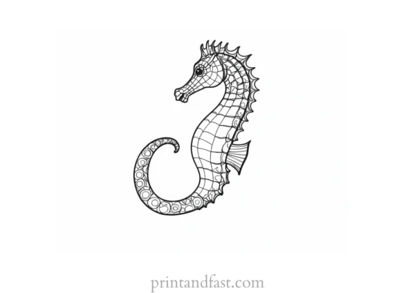 seahorse coloring page easy