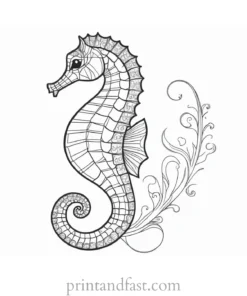 seahorse coloring page for beginners