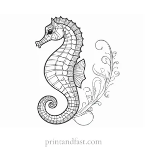 seahorse coloring page for beginners