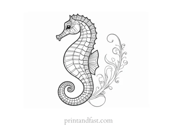 seahorse coloring page for beginners