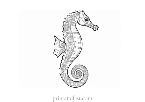 seahorse coloring page for kids