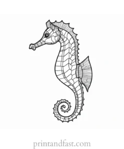 seahorse coloring page for toddlers