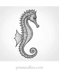 seahorse coloring page free