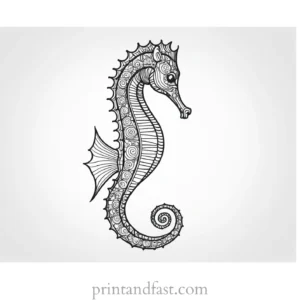 seahorse coloring page free