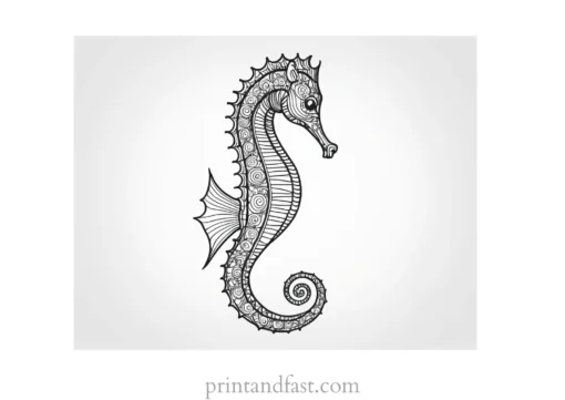 seahorse coloring page free