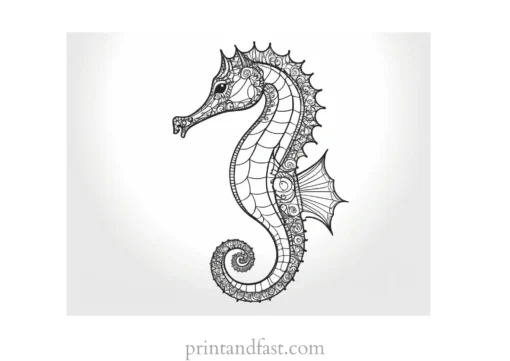 seahorse coloring page intricate