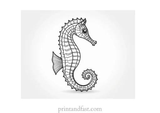 seahorse coloring page ocean