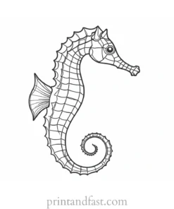 seahorse coloring page outline