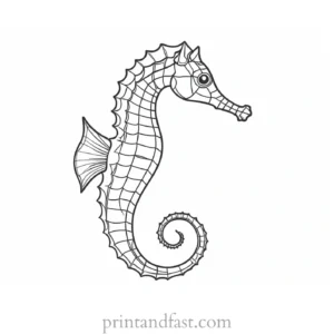 seahorse coloring page outline