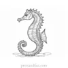 seahorse coloring page preschool