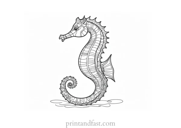 seahorse coloring page preschool