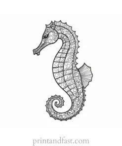 seahorse coloring page printable