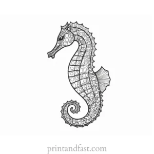 seahorse coloring page printable