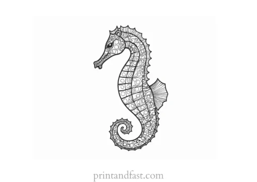 seahorse coloring page printable