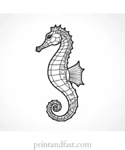 seahorse coloring page realistic