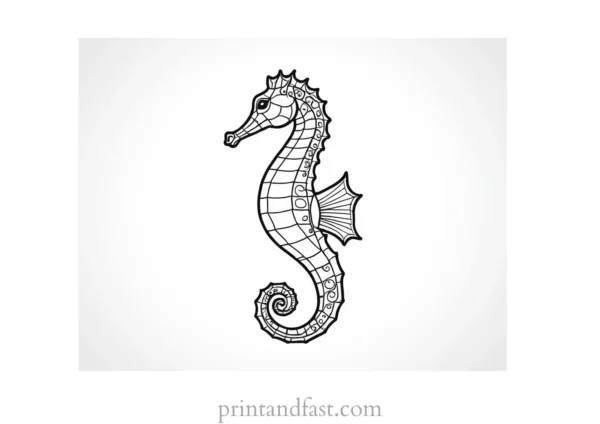 seahorse coloring page realistic