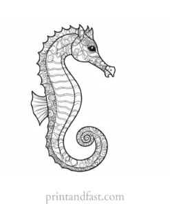 seahorse coloring page simple