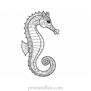 seahorse coloring page simple