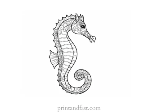 seahorse coloring page simple