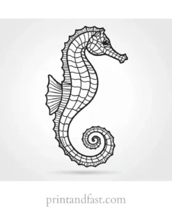 seahorse coloring page template