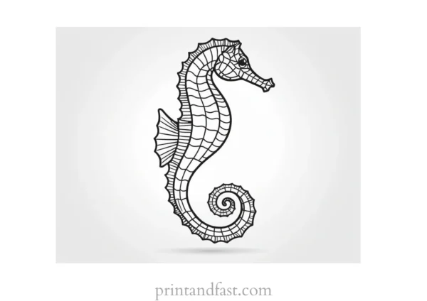 seahorse coloring page template