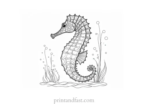 seahorse coloring page underwater