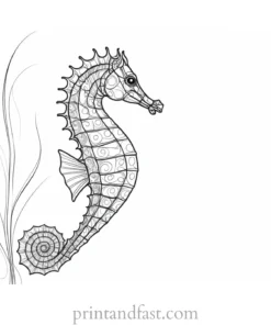 seahorse coloring page with background