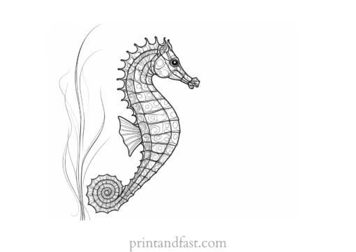 seahorse coloring page with background