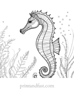 seahorse coloring page with seaweed